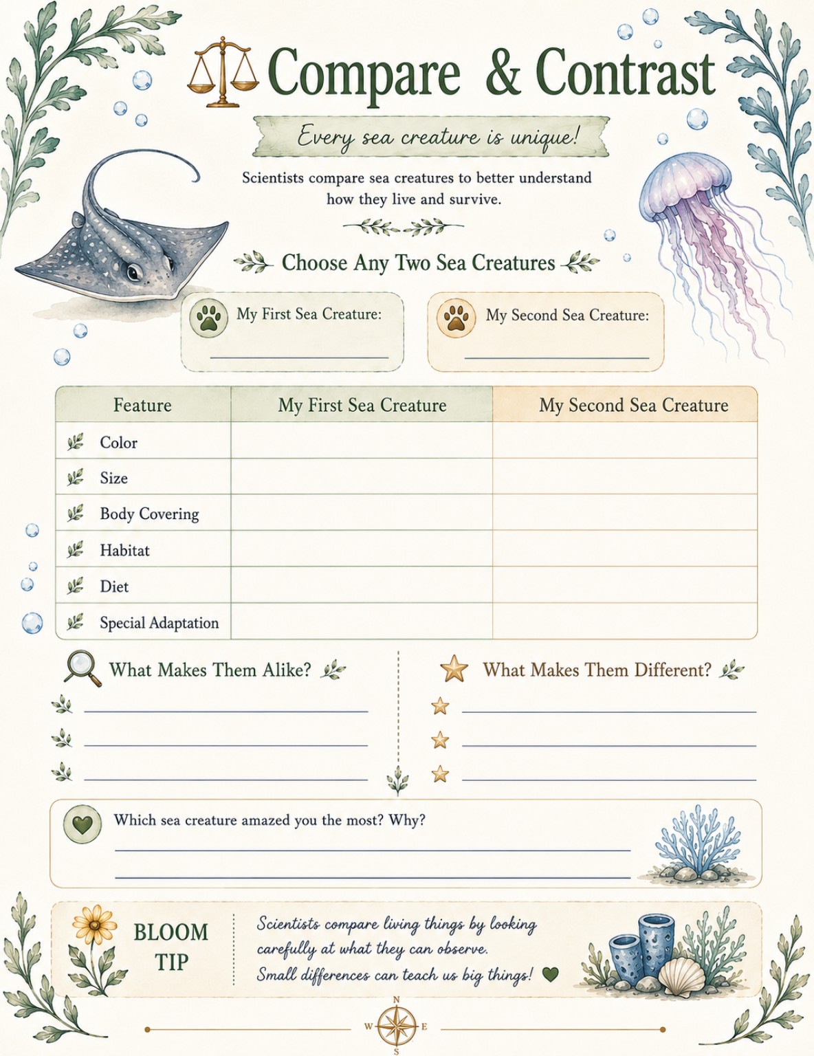 Compare & Contrast page from the Aquarium Adventure Journal